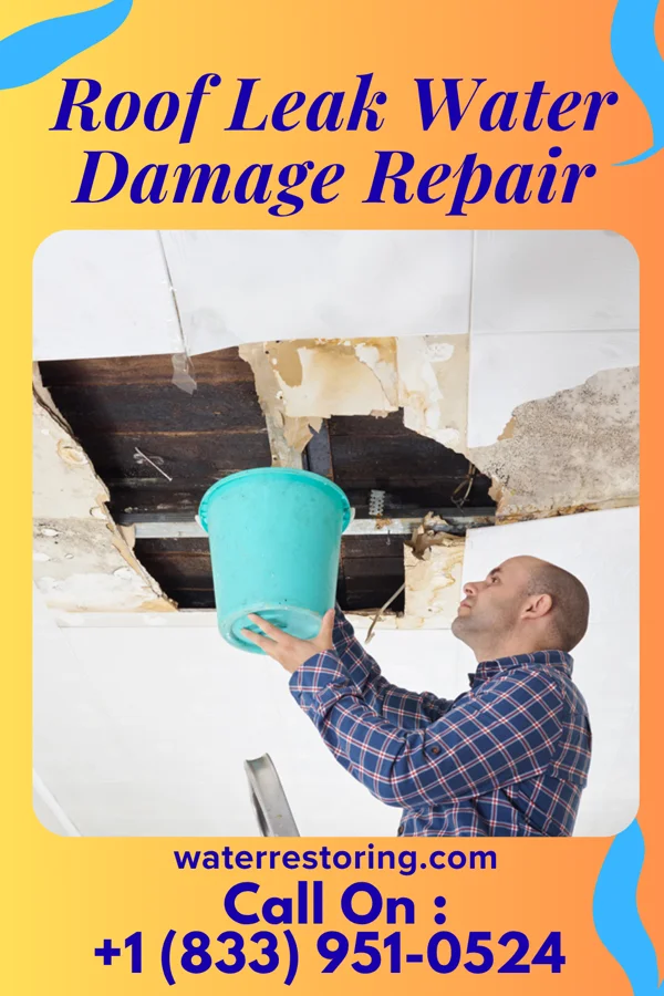 Roof Leak Water Damage Repair in Greenfield, OK